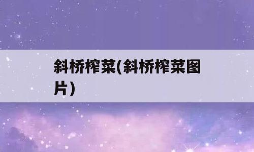 斜桥榨菜(斜桥榨菜图片)