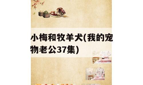 小梅和牧羊犬(我的宠物老公37集)