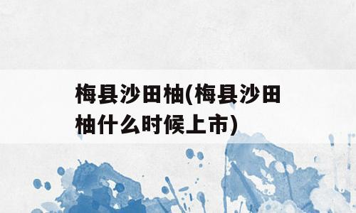 梅县沙田柚(梅县沙田柚什么时候上市)
