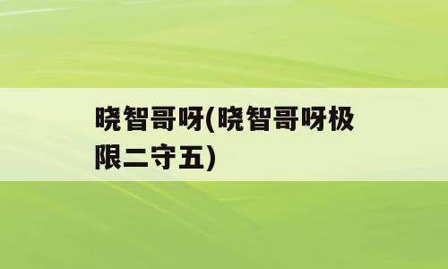 晓智哥呀(晓智哥呀极限二守五)