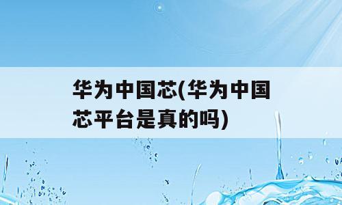 华为中国芯(华为中国芯平台是真的吗)