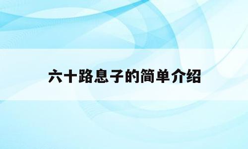 六十路息子的简单介绍