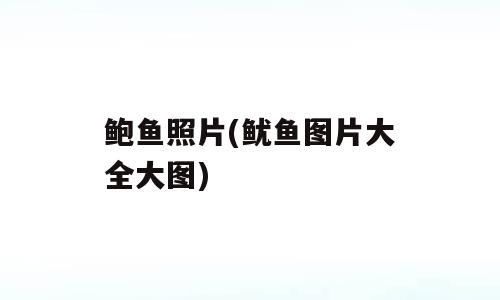 鲍鱼照片(鱿鱼图片大全大图)