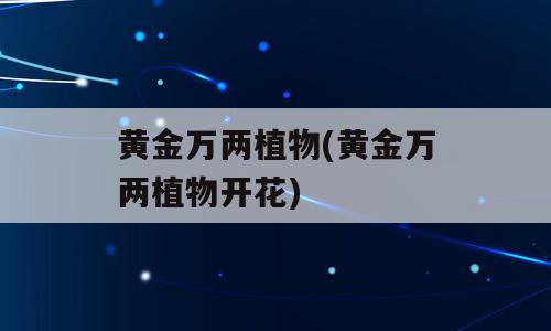 黄金万两植物(黄金万两植物开花)