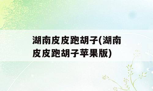 湖南皮皮跑胡子(湖南皮皮跑胡子苹果版)