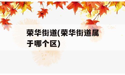 荣华街道(荣华街道属于哪个区)