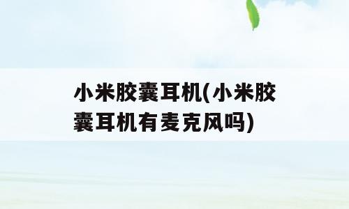小米胶囊耳机(小米胶囊耳机有麦克风吗)