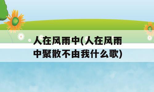 人在风雨中(人在风雨中聚散不由我什么歌)