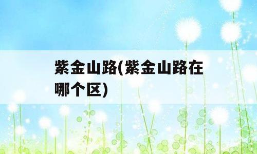紫金山路(紫金山路在哪个区)
