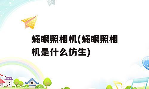 蝇眼照相机(蝇眼照相机是什么仿生)