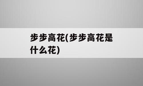步步高花(步步高花是什么花)
