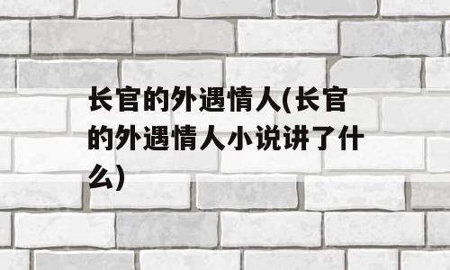 长官的外遇情人(长官的外遇情人小说讲了什么)