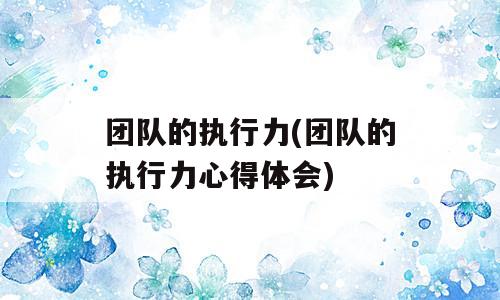 团队的执行力(团队的执行力心得体会)