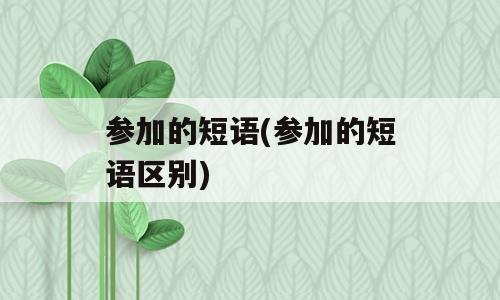 参加的短语(参加的短语区别)