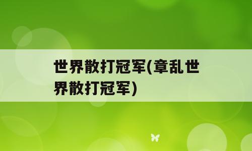 世界散打冠军(章乱世界散打冠军)