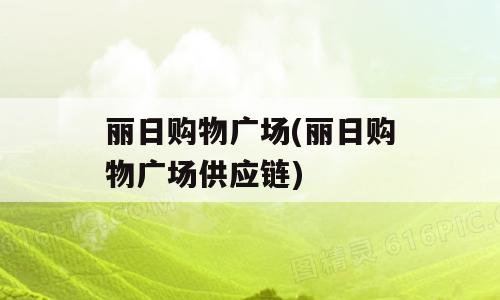 丽日购物广场(丽日购物广场供应链)