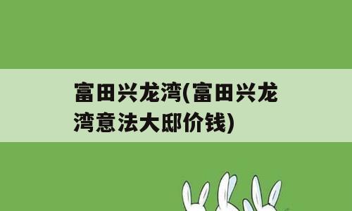 富田兴龙湾(富田兴龙湾意法大邸价钱)