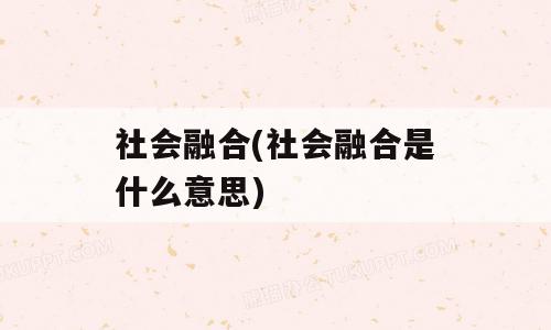 社会融合(社会融合是什么意思)