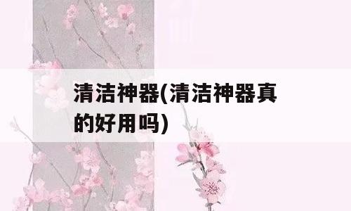 清洁神器(清洁神器真的好用吗)