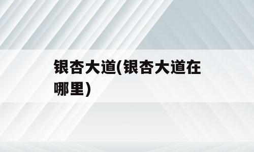 银杏大道(银杏大道在哪里)