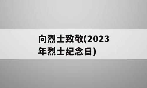 向烈士致敬(2023年烈士纪念日)