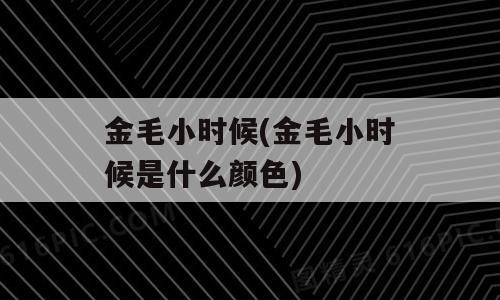 金毛小时候(金毛小时候是什么颜色)