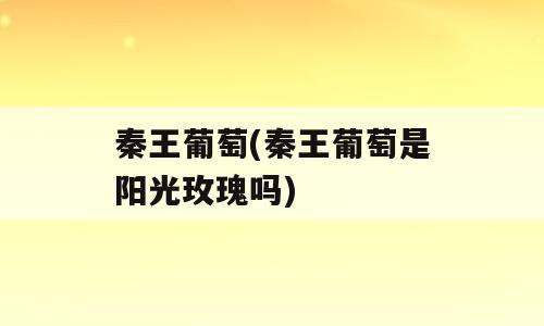 秦王葡萄(秦王葡萄是阳光玫瑰吗)
