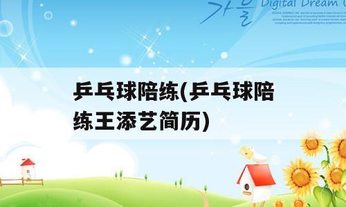 乒乓球陪练(乒乓球陪练王添艺简历)