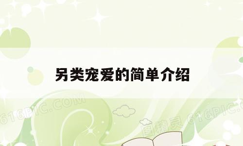 另类宠爱的简单介绍