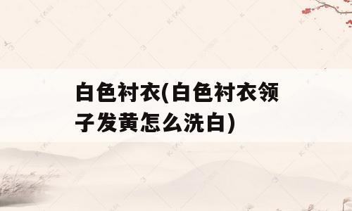 白色衬衣(白色衬衣领子发黄怎么洗白)