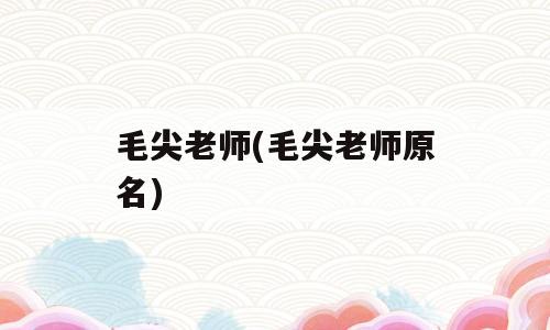 毛尖老师(毛尖老师原名)