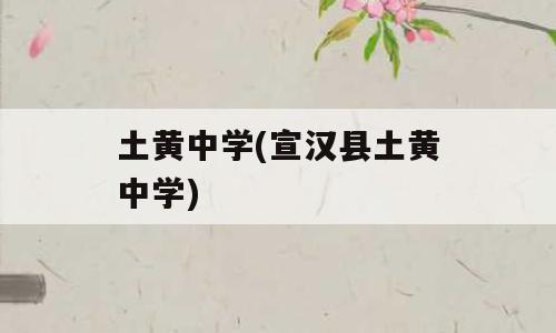土黄中学(宣汉县土黄中学)