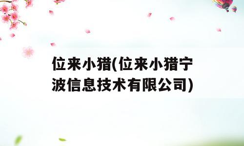 位来小猎(位来小猎宁波信息技术有限公司)