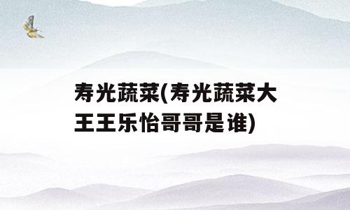 寿光蔬菜(寿光蔬菜大王王乐怡哥哥是谁)