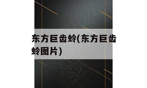 东方巨齿蛉(东方巨齿蛉图片)