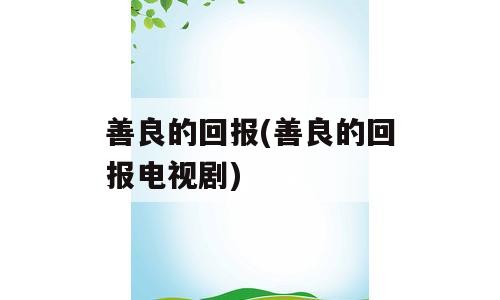 善良的回报(善良的回报电视剧)