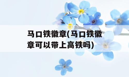 马口铁徽章(马口铁徽章可以带上高铁吗)