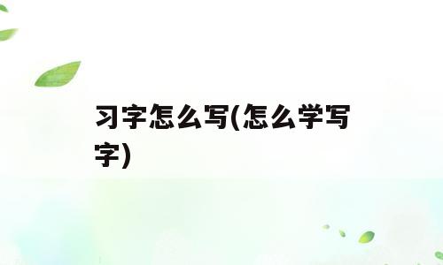 习字怎么写(怎么学写字)