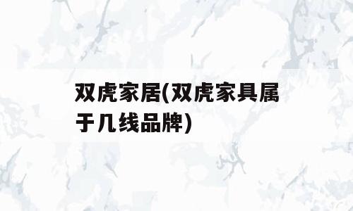 双虎家居(双虎家具属于几线品牌)