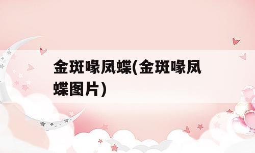 金斑喙凤蝶(金斑喙凤蝶图片)