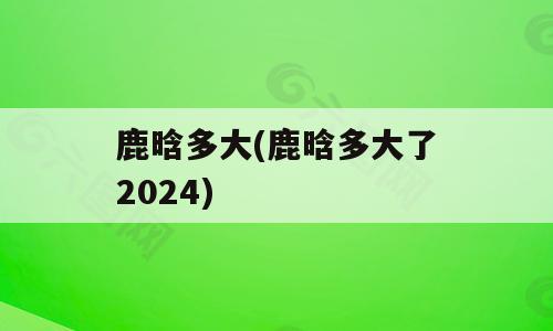 鹿晗多大(鹿晗多大了2024)