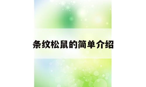 条纹松鼠的简单介绍