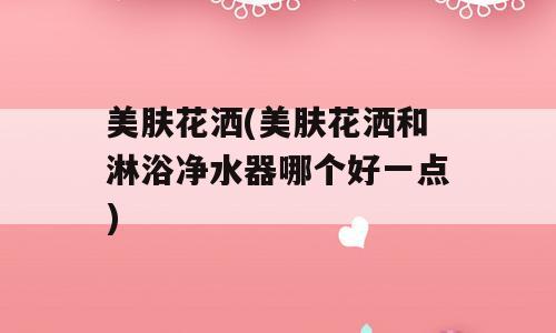 美肤花洒(美肤花洒和淋浴净水器哪个好一点)