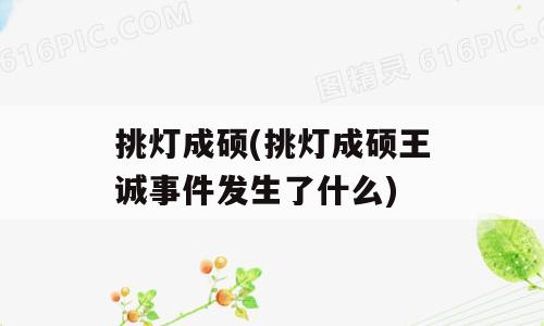 挑灯成硕(挑灯成硕王诚事件发生了什么)