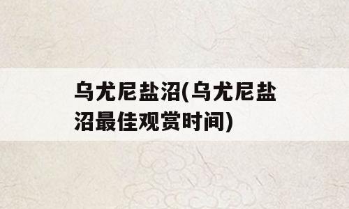 乌尤尼盐沼(乌尤尼盐沼最佳观赏时间)