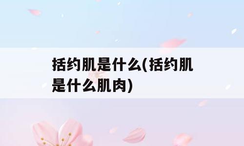 括约肌是什么(括约肌是什么肌肉)