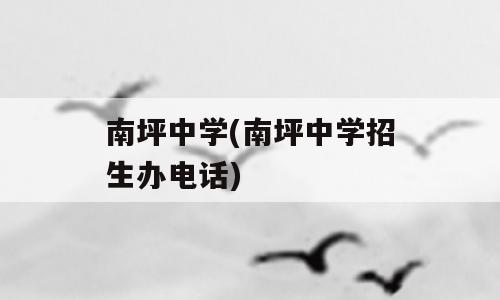 南坪中学(南坪中学招生办电话)
