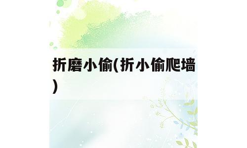 折磨小偷(折小偷爬墙)