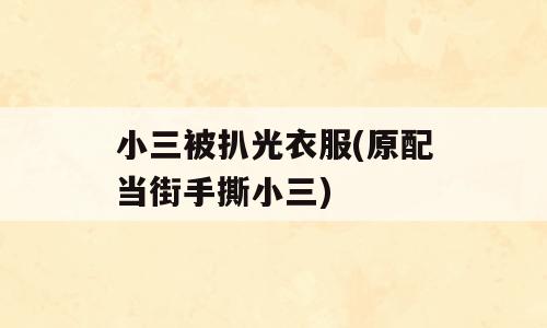 小三被扒光衣服(原配当街手撕小三)