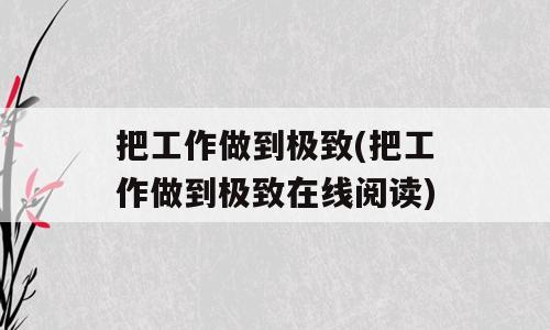 把工作做到极致(把工作做到极致在线阅读)